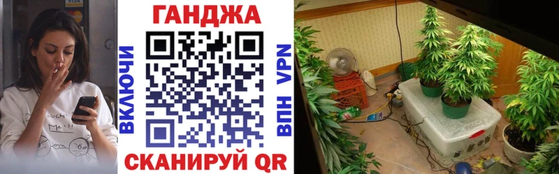Конопля индика Биробиджан